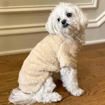 Soft Plush Pullover in Cream