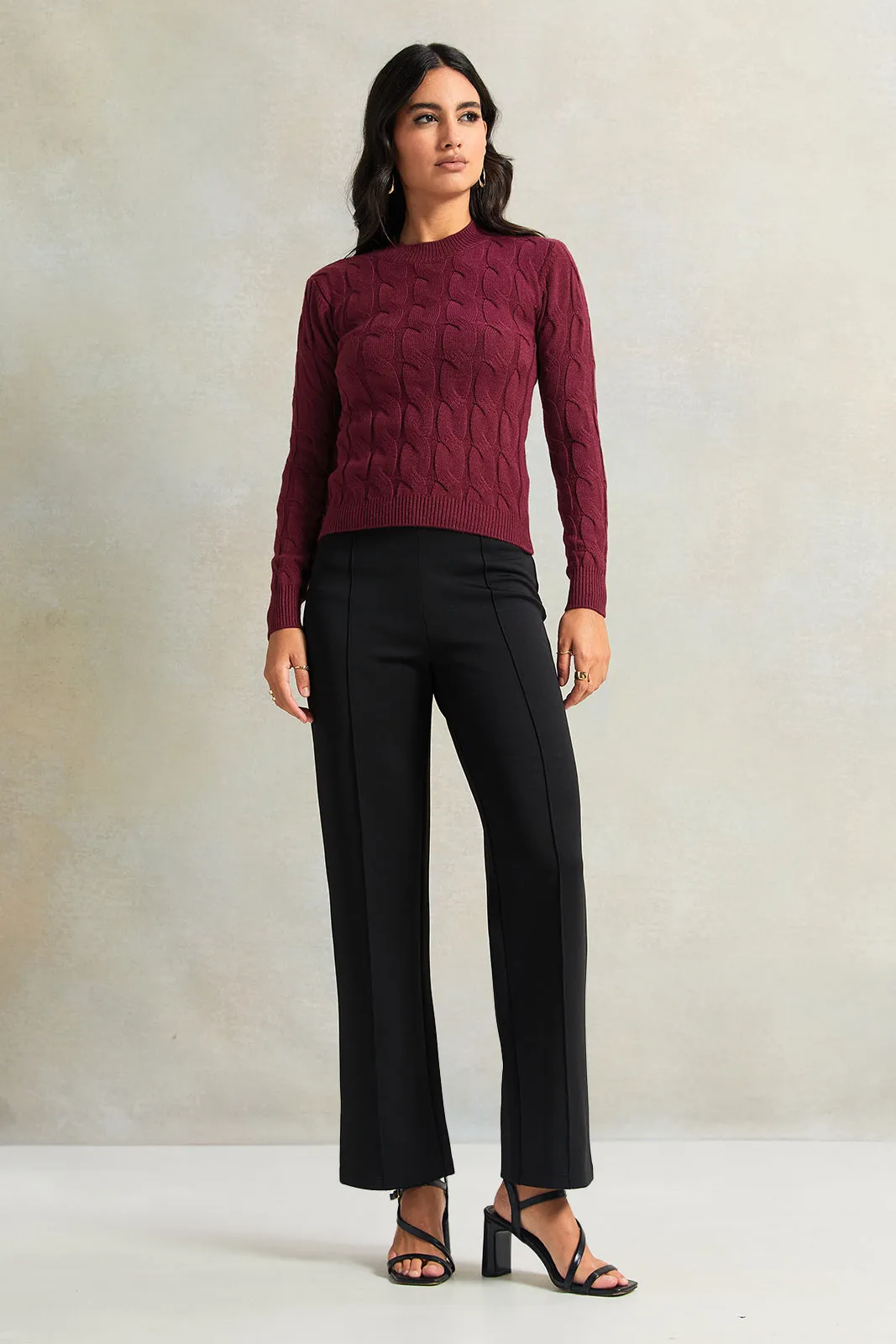 Women  Burgundy Textured Pullover