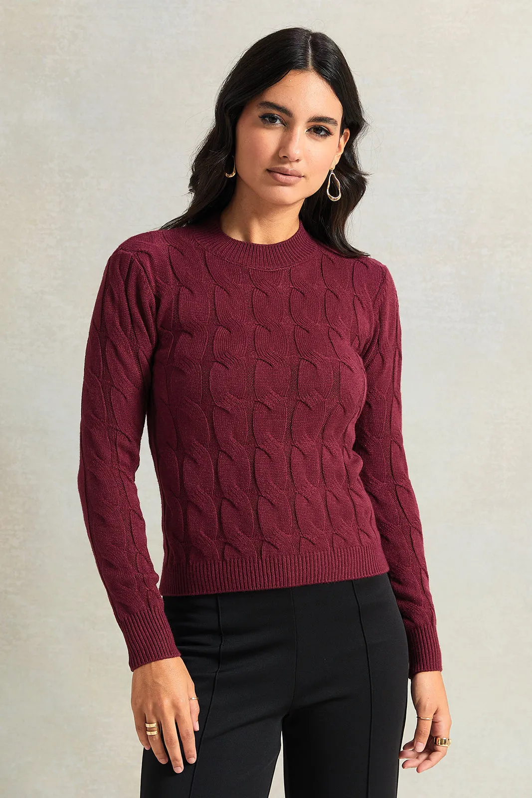 Women  Burgundy Textured Pullover